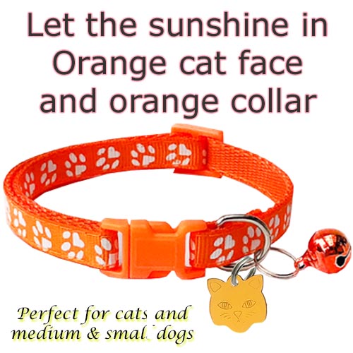pet tag and collar engraved cat dog