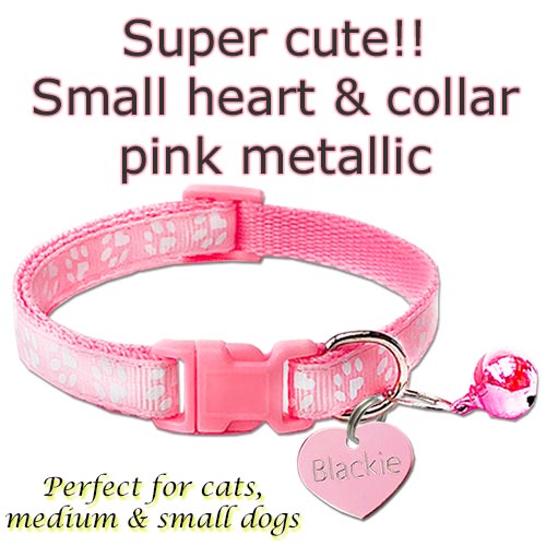 pet collar and engraved pet tags