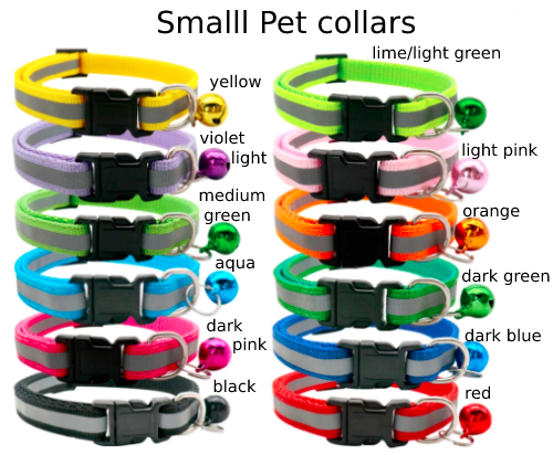 pet tags and collars