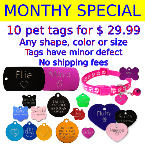 engraved pet tag large bone paw